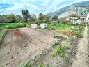 terreno-agricolo-castel-san-giorgio