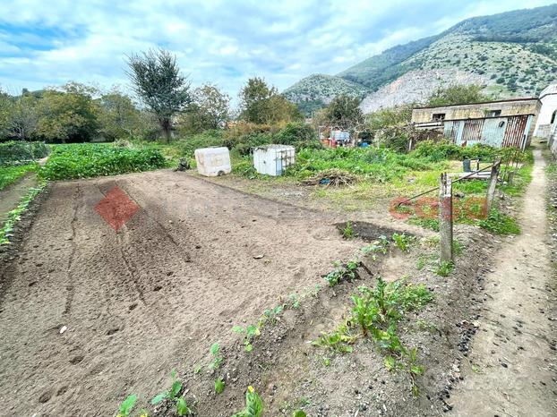 Terreno Agricolo Castel San Giorgio