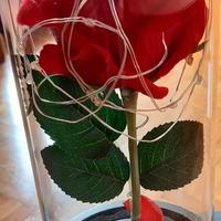 rosa la bella e la bestia