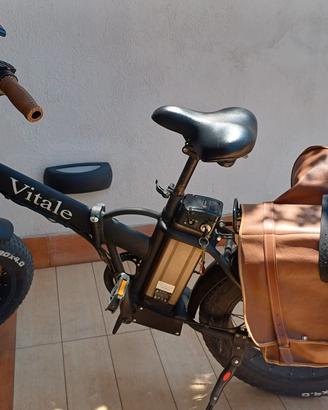 Bici elettrica con pedalata assistita fat-bike