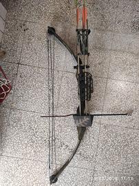 Arco da caccia compound