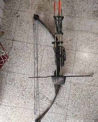 Arco da caccia compound