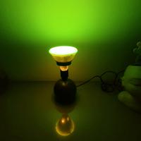 Lampadina fluorescente Par38 20W con schermo verde
