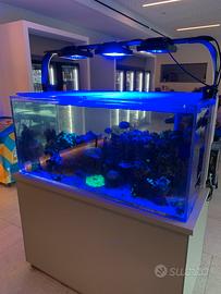 Acquario marino