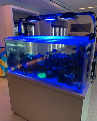 Acquario marino