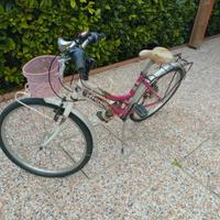 Bicicletta Aerelli 18 scambi