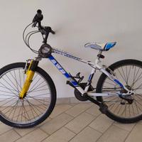 bicicletta da ragazzo
