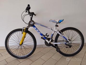 bicicletta da ragazzo