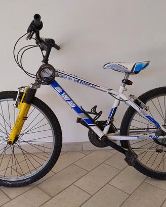 bicicletta da ragazzo
