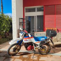 Honda XL 600 LM