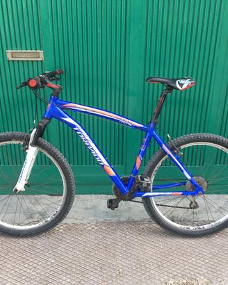 Bicicletta Torpado