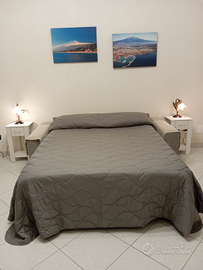 Casa vacanze fior dell' Etna 3272955922