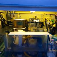 acquario