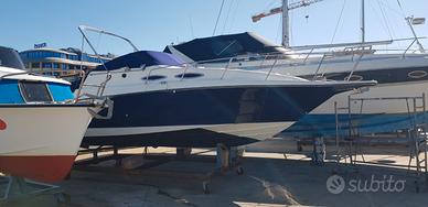 Rinker 260 vee