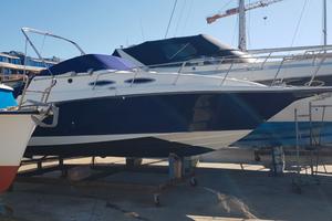 Rinker 260 vee