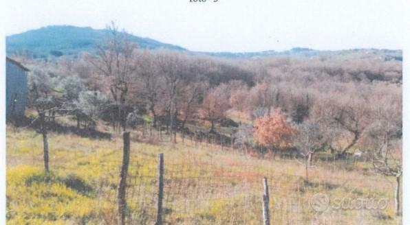 Terreno agricolo a Sturno