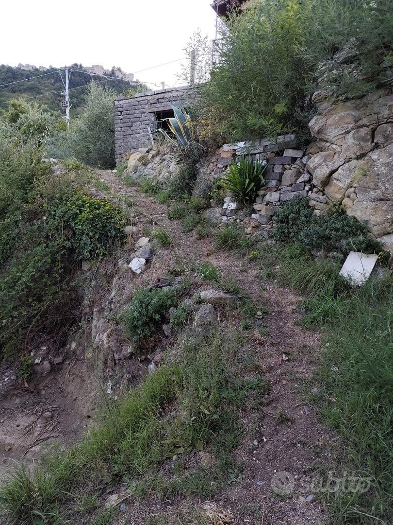 Rustico con terreno 8000 mq - Vista 5