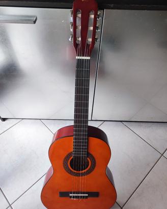chitarra per ragazzi 3/4 eko