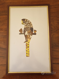Quadro pappagallo con ali di farfalla