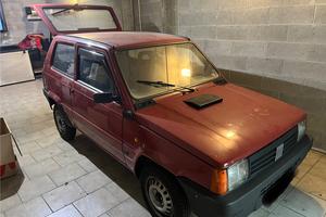 Panda 1^ serie 1100 fire cat young