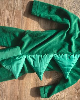 vestito carnevale draghetto