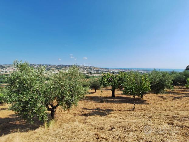 Terreno agricolo - Colonnella