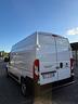 fiat-ducato-tetto-alto-passo-medio-unipro-rate