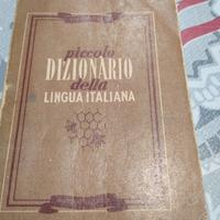 piccolo dizionario della lingua italiana 