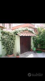 Palazzina ristrutturata centre ladispoli