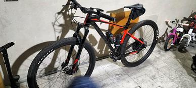 MTB giant