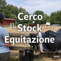 Stock equitazione