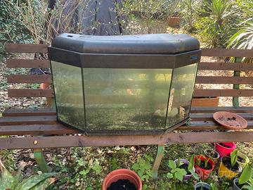 Acquario 80x50x35