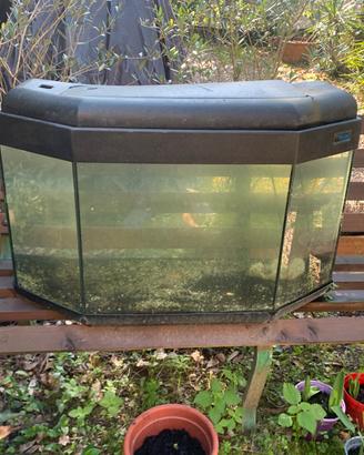 Acquario 80x50x35