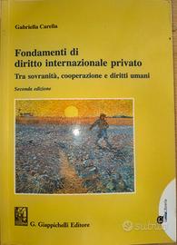 F. di diritto internazionale privato,G. Carella