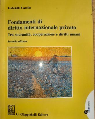F. di diritto internazionale privato,G. Carella