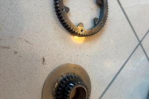Primaria denti dritti vespa px
