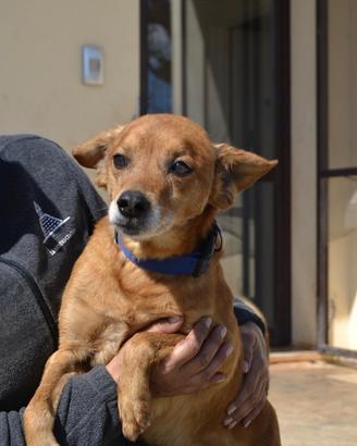 Ciccio il dolce coccolone