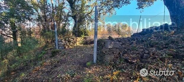 Terreno 3.700 mq a linguaglossa - Vista 5