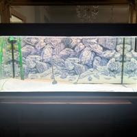 Acquario Juwel Rio 180