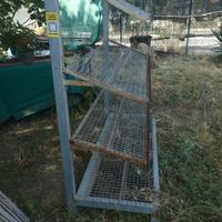 porta fiori o porta frutta