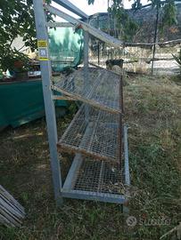 porta fiori o porta frutta