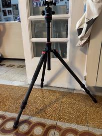 Neewer N55C Treppiede Carbonio + Testa a Sfera – T