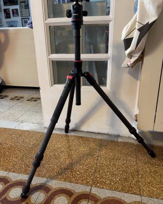 Neewer N55C Treppiede Carbonio + Testa a Sfera – T