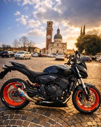 Honda hornet 600 2010
