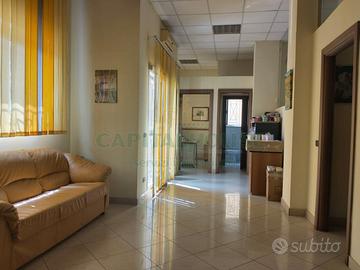 S2 zona variante: ufficio con spazio esterno