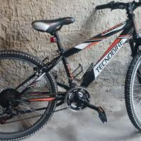 Bicicletta n.24