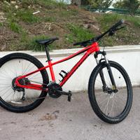 specialized pitch 27.5