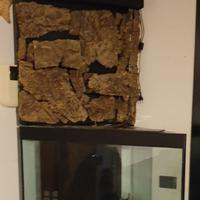 Acquario angolare