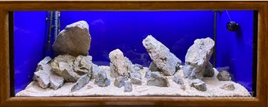 Pietre in Resina x Acquario