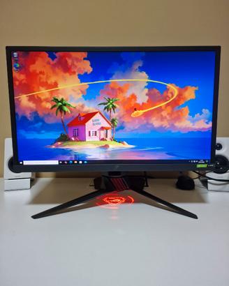Asus ROG XG248Q 240HZ